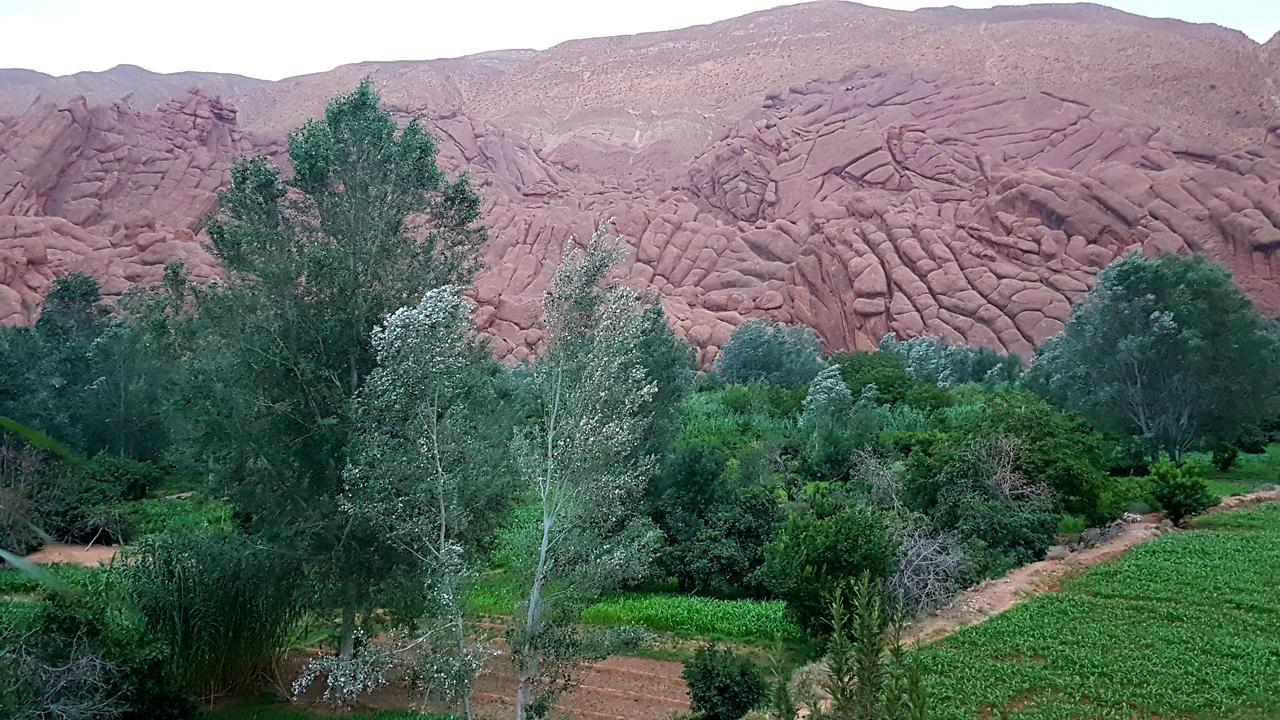 Auberge Kasbah Ait Marghad Tamellalt  المظهر الخارجي الصورة