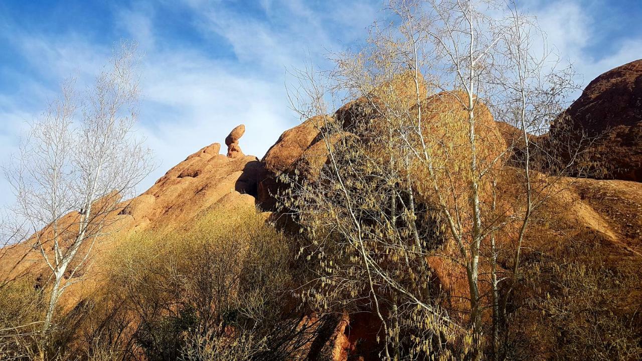 Auberge Kasbah Ait Marghad Tamellalt  المظهر الخارجي الصورة