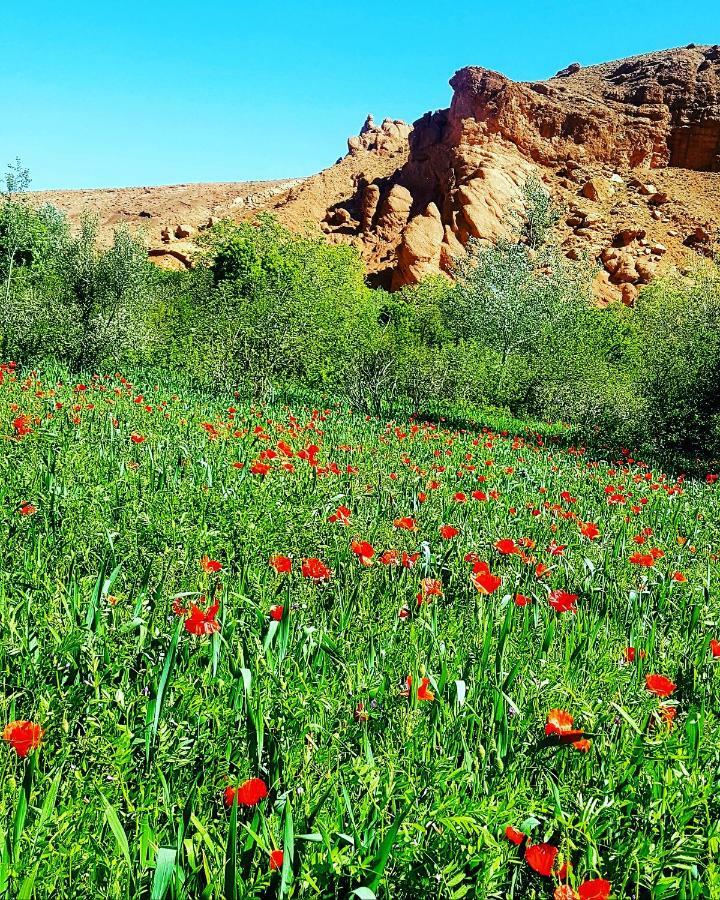 Auberge Kasbah Ait Marghad Tamellalt  المظهر الخارجي الصورة